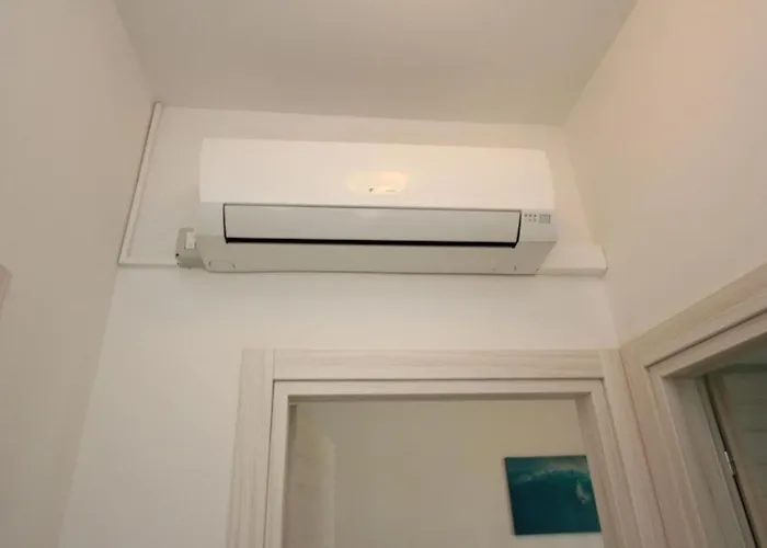 Wonderful With Garden