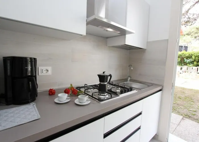 Wonderful With Garden *