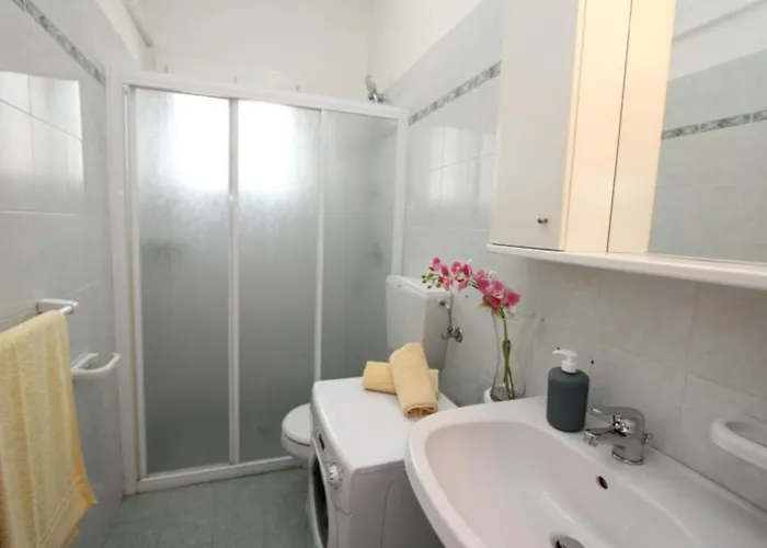 Wonderful With Garden *